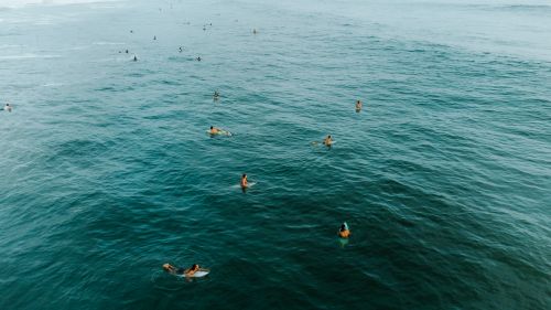Free Aerial view of surfers paddling in the blue ocean off the coast of Costa Rica, enjoying a sunny summer day. Stock Photo