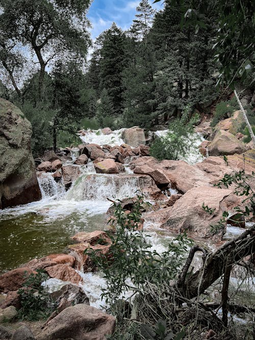 Green Trees Beside the Rocky River