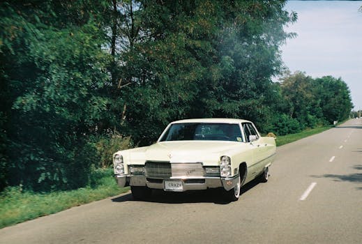 在俄罗斯萨哈林州宁静的高速公路上，一辆经典汽车行驶在郁郁葱葱的绿树环绕之中