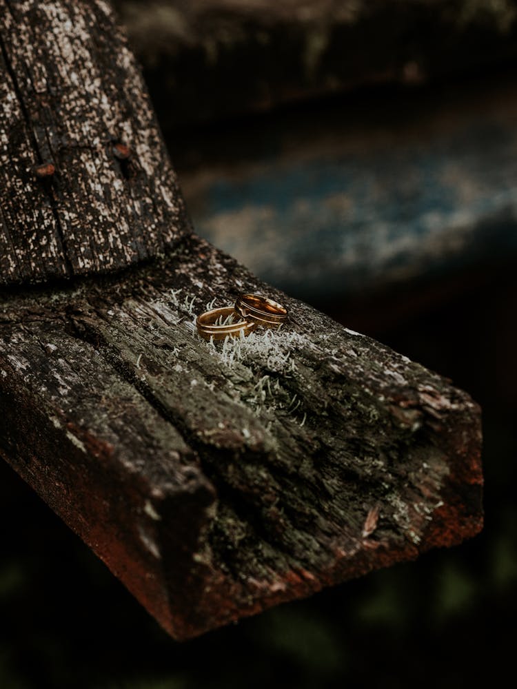 Wedding Rings On Wood