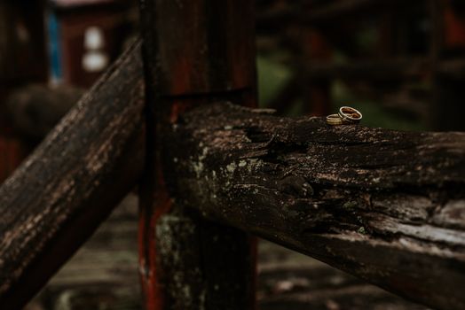Close-up of gold wedding rings on an old wooden fence, evoking rustic charm.