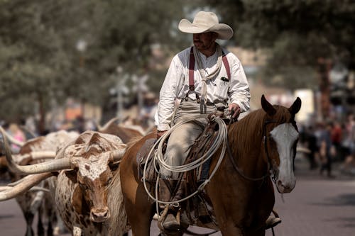 Cowboy Riding a Horse