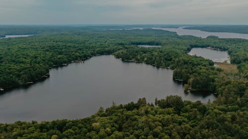 Δωρεάν στοκ φωτογραφιών με αεροφωτογράφιση, λήψη από drone, λίμνη