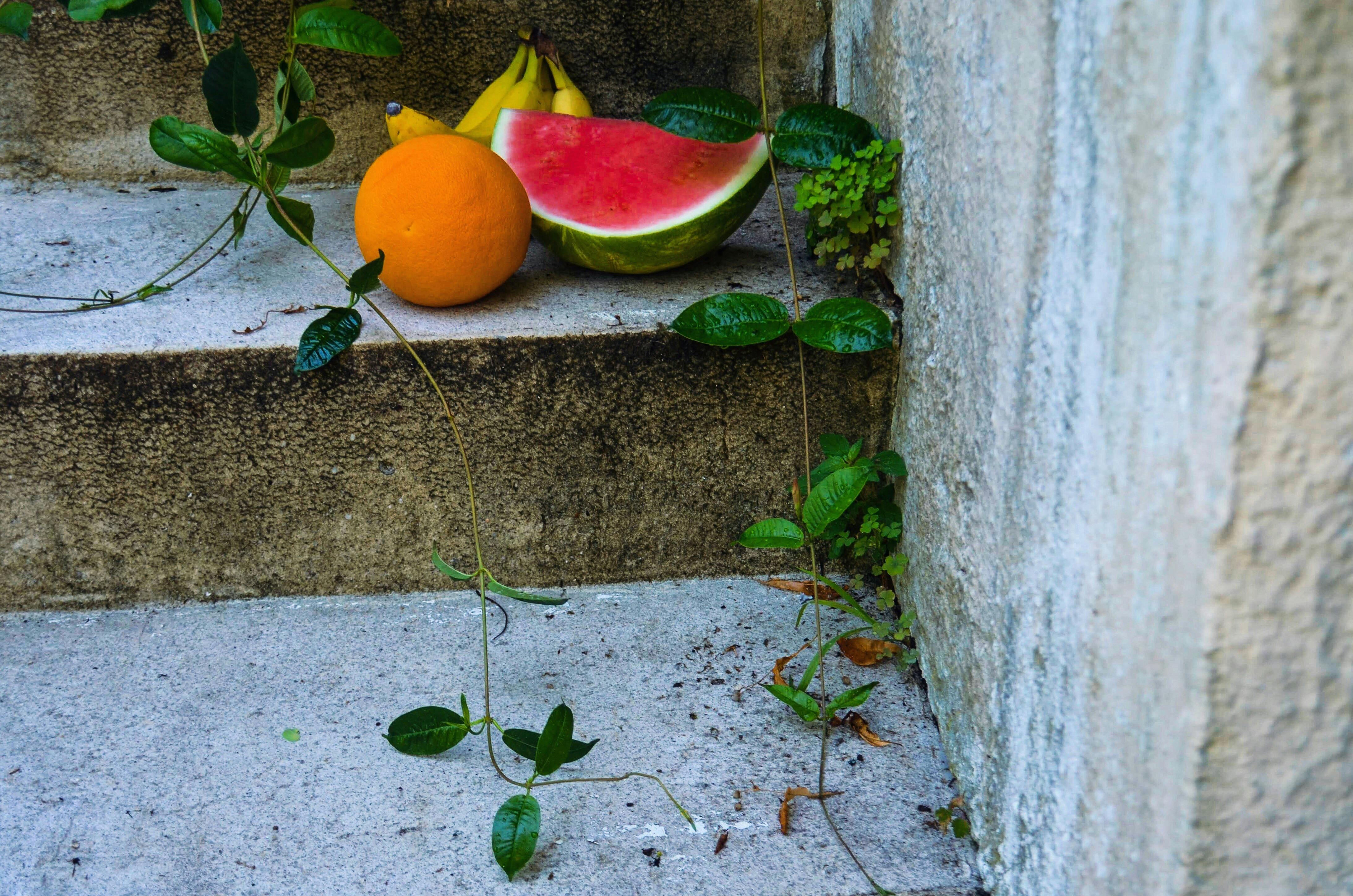 Fruits on Top of Concrete Steps · Free Stock Photo