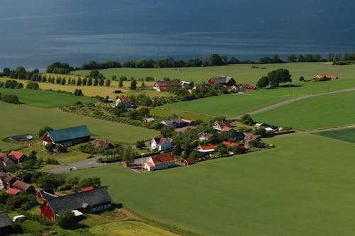 Aerial View of Farm Houses Near the Field