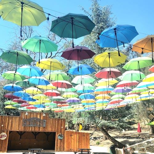 Immagine gratuita di bellissimo, colorato, ombrelli
