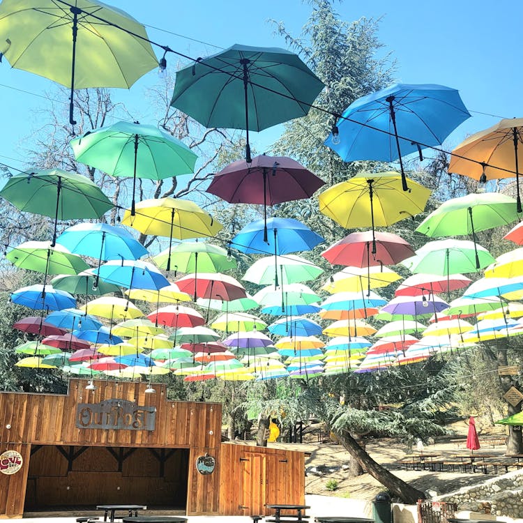 Free stock photo of beautiful, colorful, umbrellas