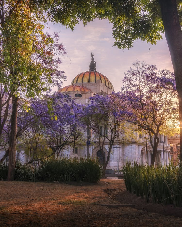 The Palace Of Fine Arts In Mexico City