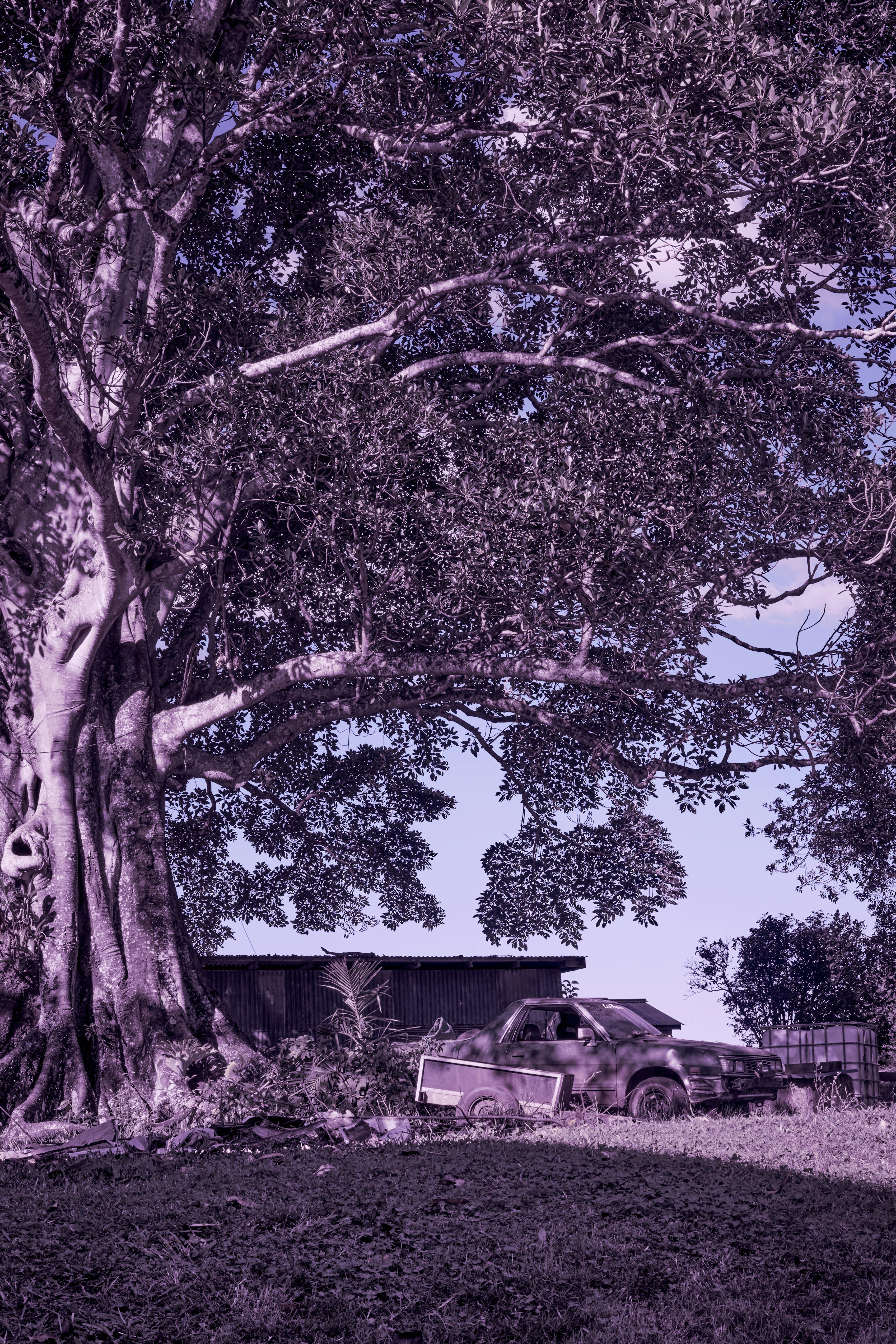 Sơ đồ chỗ ngồi máy bay