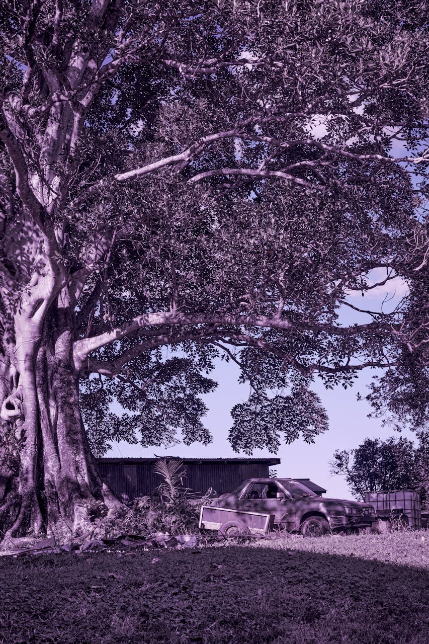 Sơ đồ chỗ ngồi máy bay