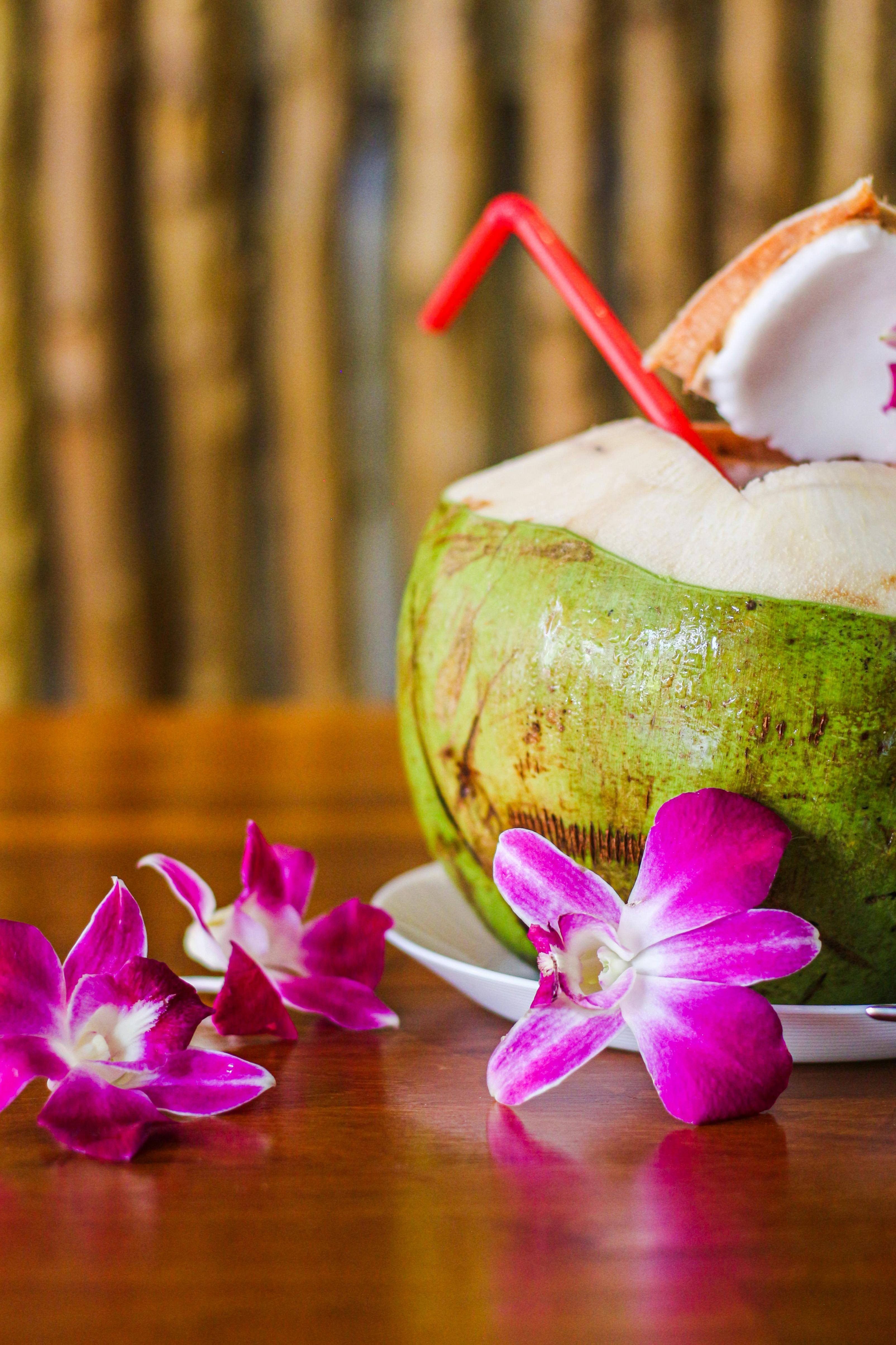 Foto profissional gratuita de ambiente tropical,