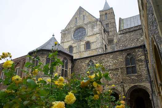 Exterior view of the iconic Canterbury Cathedral adorned with vibrant yellow roses in the foreground.