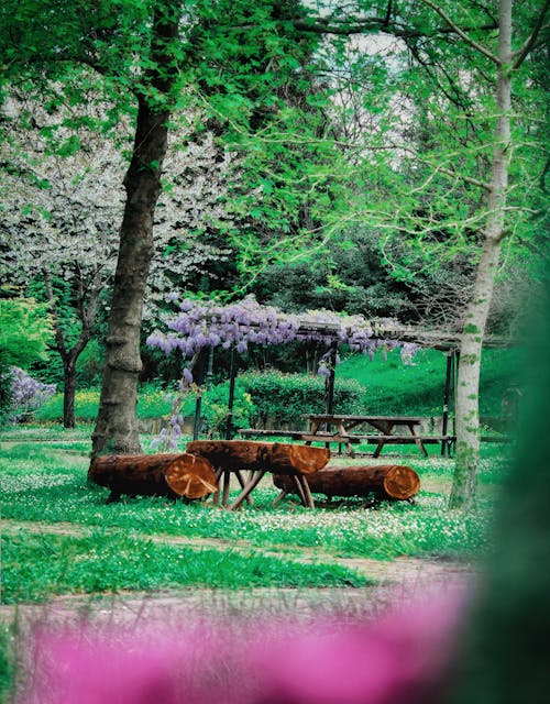 Free Brown Wooden Horse Carriage on Green Grass Field Stock Photo