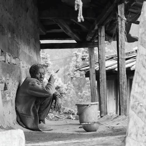 Immagine gratuita di alla ricerca, bianco e nero, scala di grigi