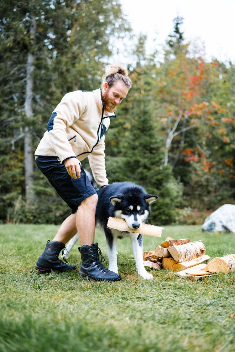 Bearded Man Playing With Husky Dog In Forest