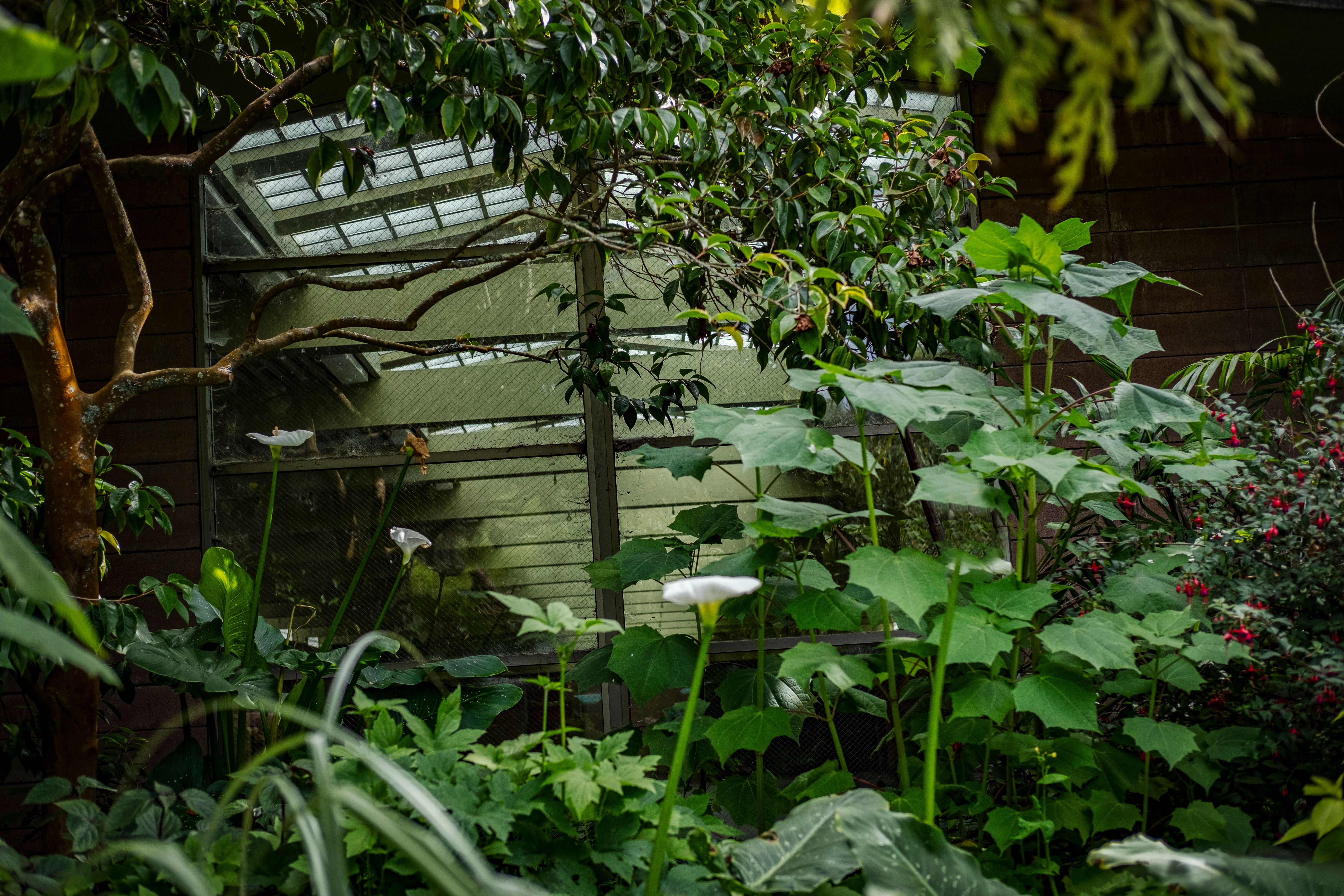 Consejos para mantener tus plantas saludables todo el año