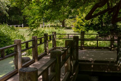 Free Explore a tranquil scene of a wooden bridge surrounded by lush greenery in a serene park setting. Stock Photo