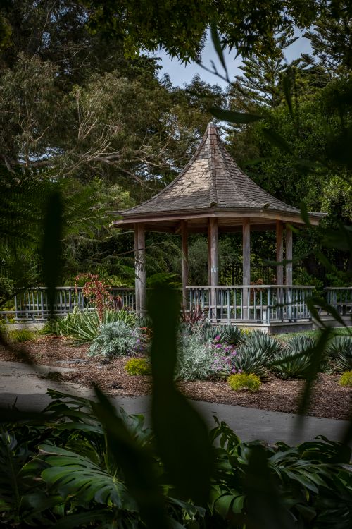 Free Charming wooden gazebo in a lush garden, perfect for relaxation and nature appreciation. Stock Photo