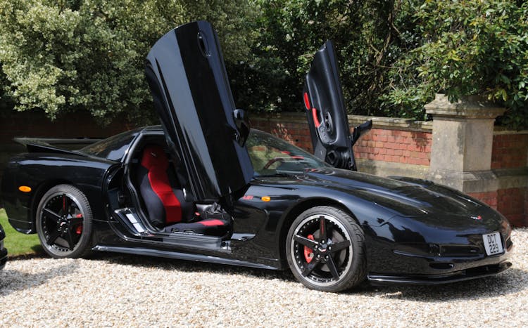 Black Corvette Sports Car Parked Near Green Plants