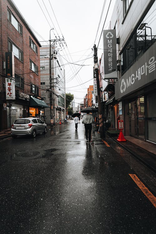 People Walking on the Street while Carrying an Open Umbrella