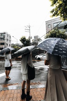 Three people with umbrellas stand at a rainy urban crosswalk, back view in gloomy weather.
