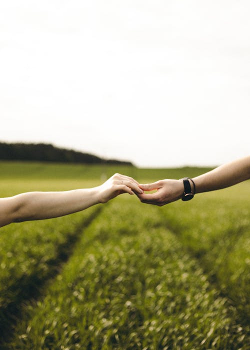 Free Close-up of a Couple Holding Hands Outdoor on a Field  Stock Photo
