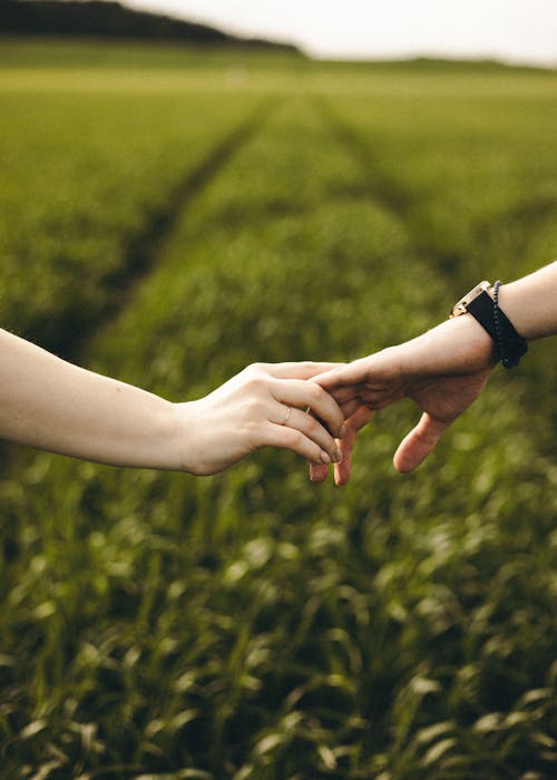 Close-up of a Couple Holding Hands Outdoor on a Field