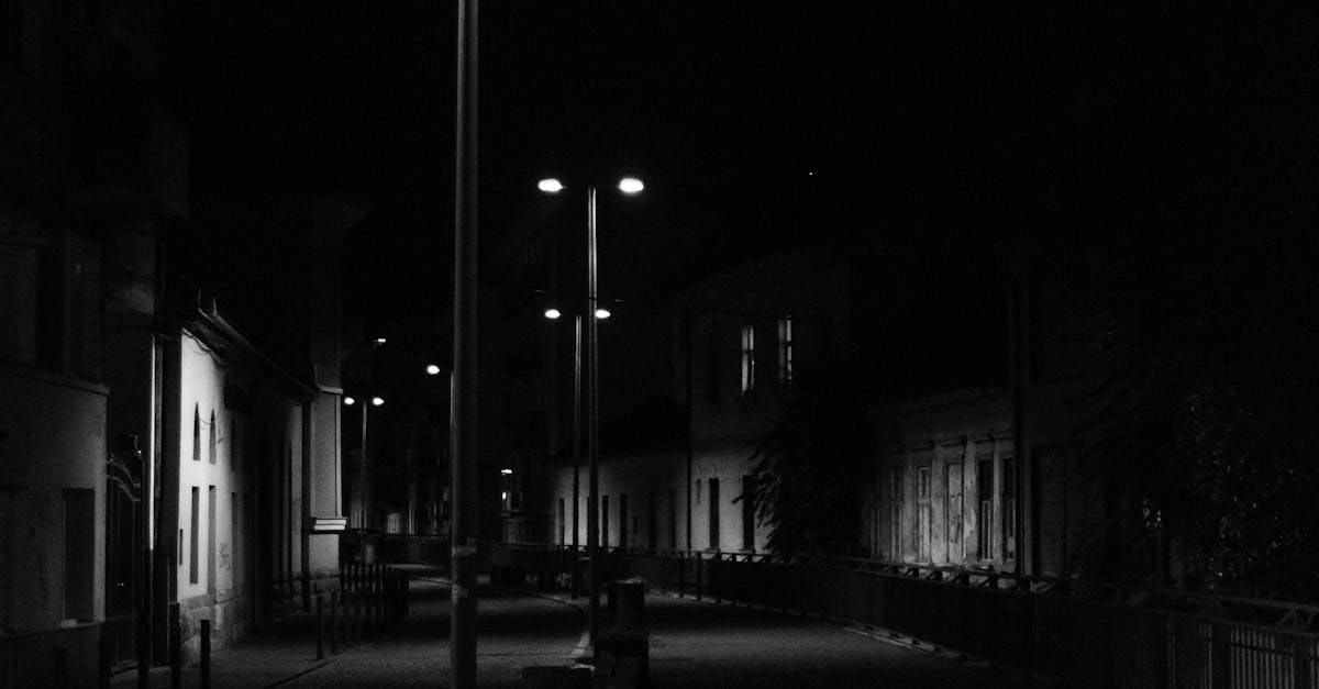 生活夜燈新潮流 多肉植物收集陽光後綻放溫暖火花