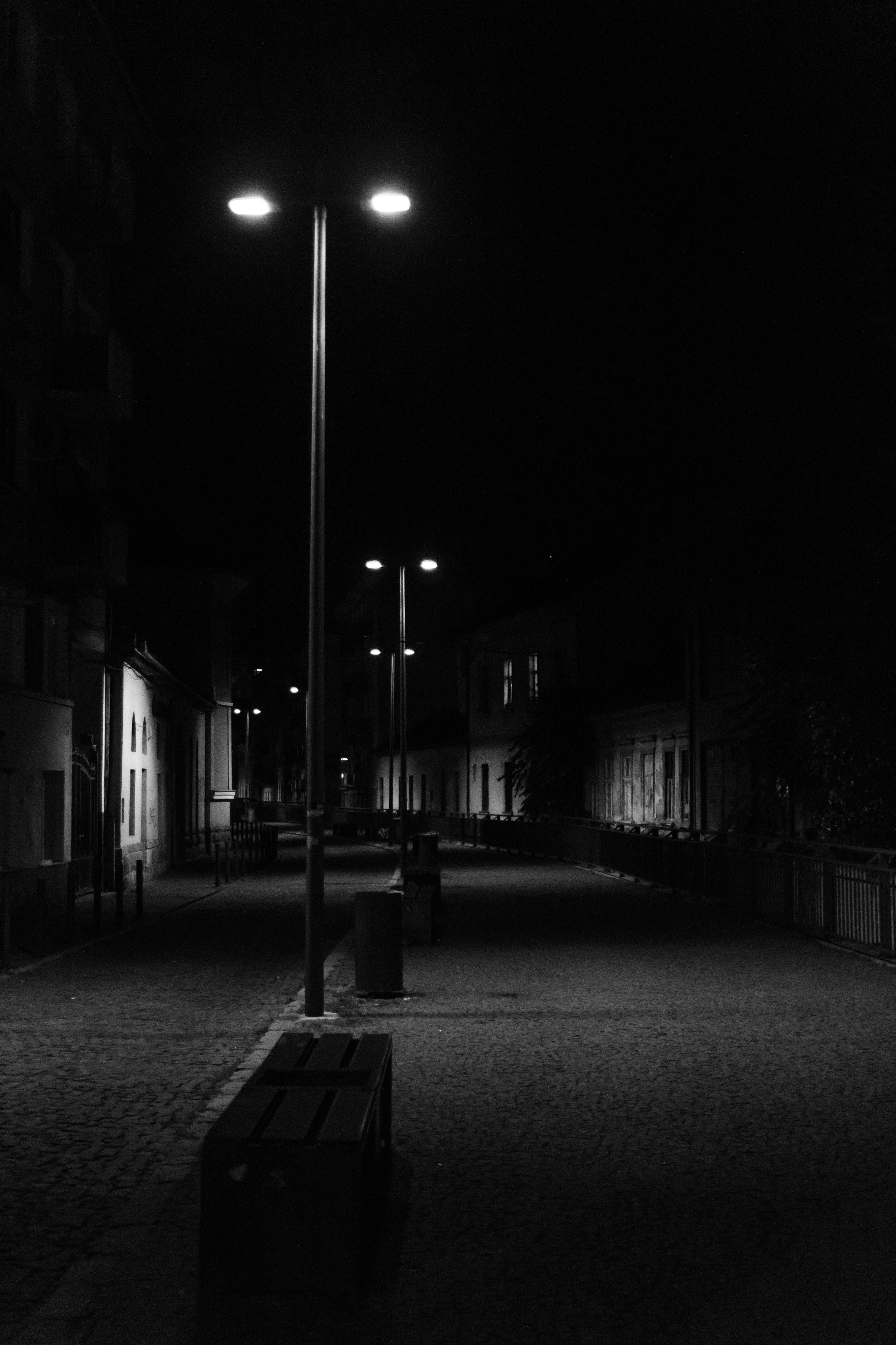 Grayscale Photography of Street Lights Along the Road Between Houses ...