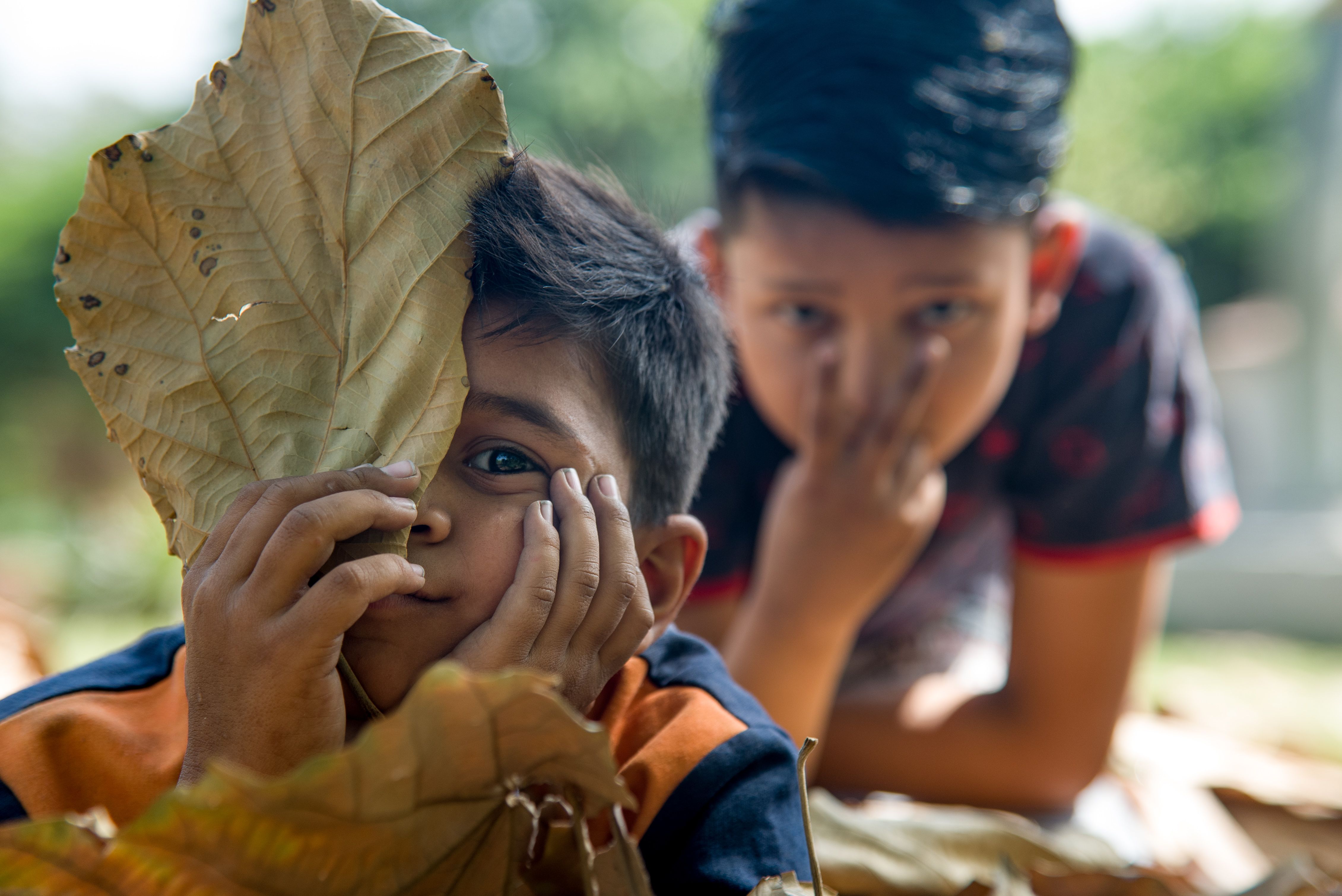 Boy Covering His Face with Dry Leaf · Free Stock Photo