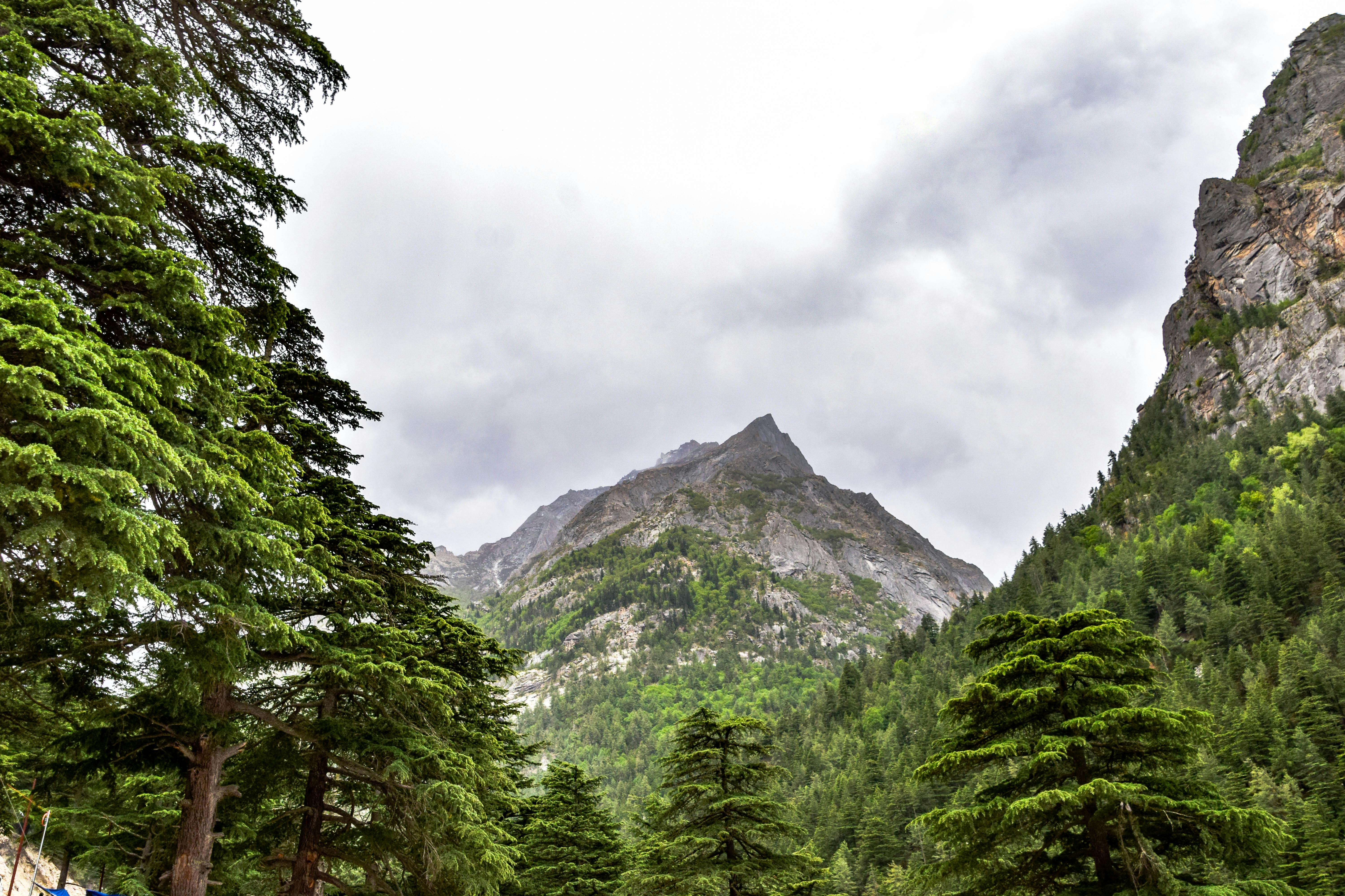 Gangotri travel image