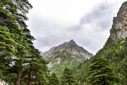 Picturesque view of the Gangotri mountains surrounded by lush green forests under a cloudy sky.
