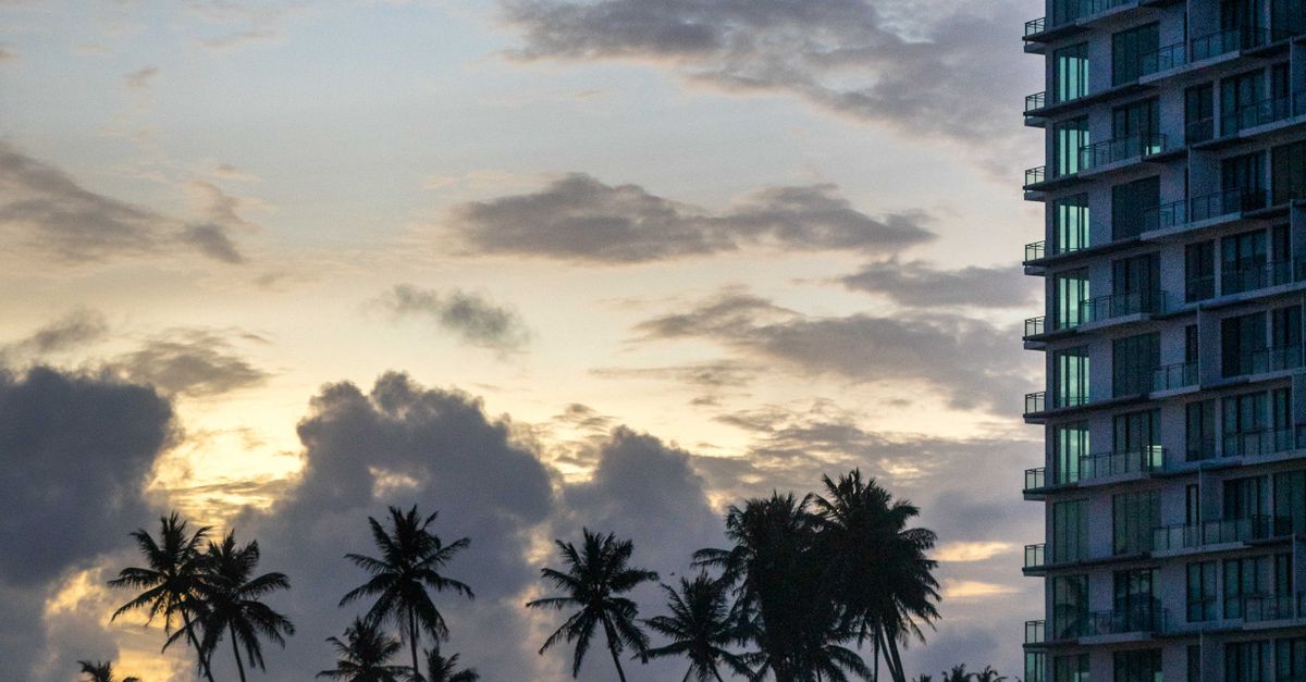 Serene Galle coastline with silhouetted palm trees at sunset, adjacent to a resort building.
