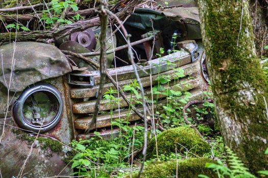 Black Car on Green Grass