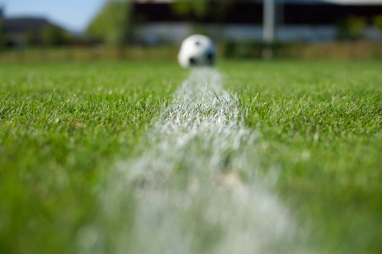 Soccer Pitch And A Ball 