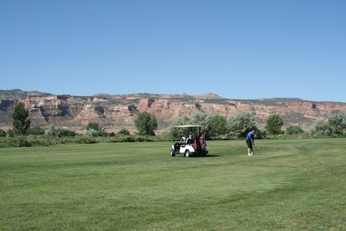 Kostnadsfri bild av blå himmel, golfbana, golfbil