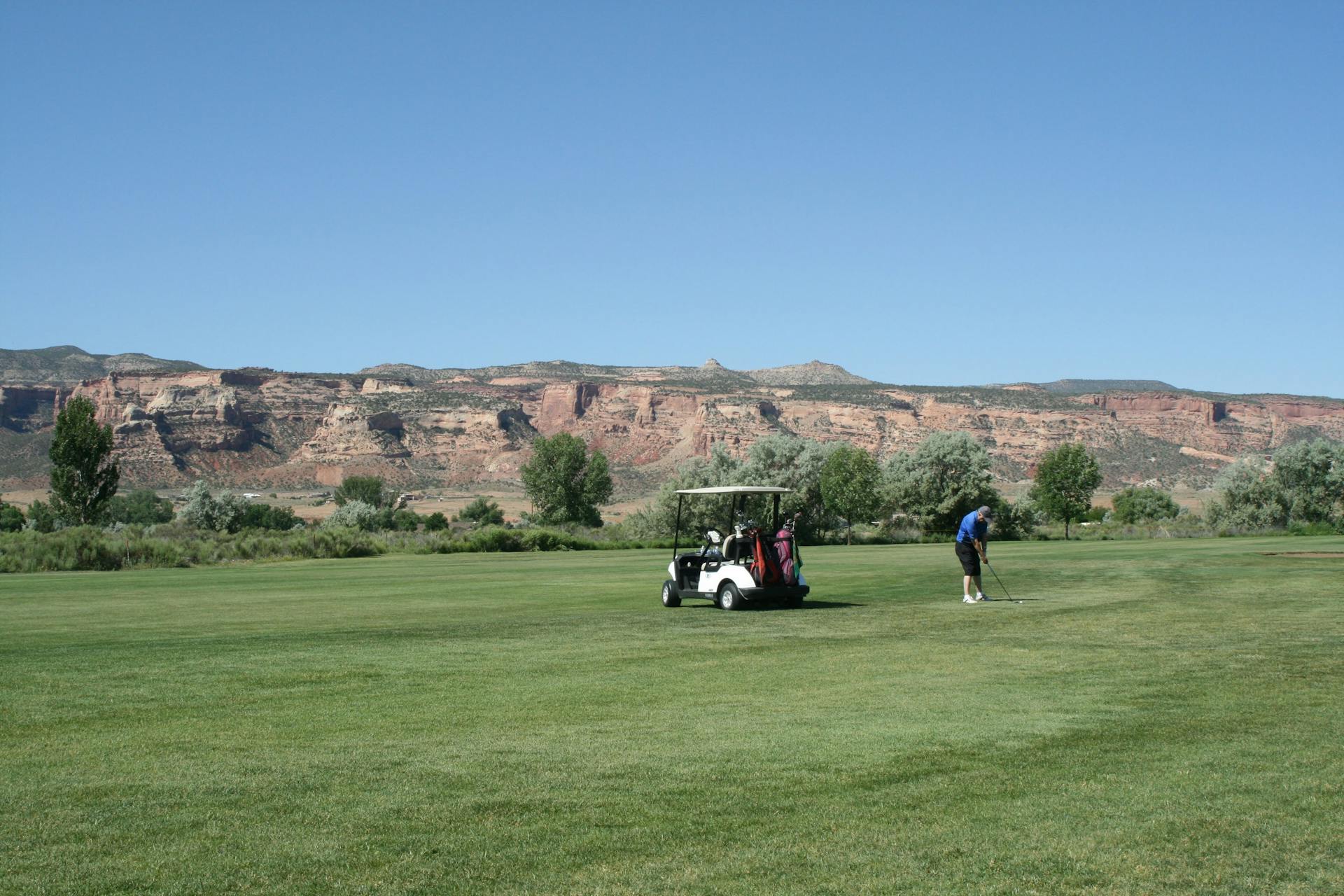 Golfer playing on a green field with a golf cart under a bright blue sky.