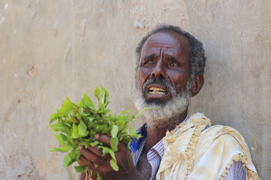 Free Stock Photo Of Bari Region Bosaso Port Somalia free-stock-photo-of-bari-region-bosaso-port-somalia