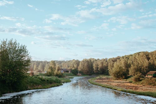 川, 流れ, 環境の無料の写真素材