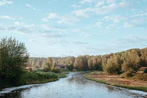 Photos gratuites de arbres verts, ciel bleu, environnement