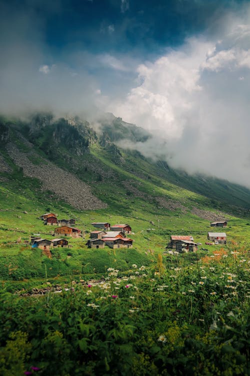 Houses on Green Grass Field