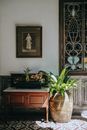 Green Potted Plant on Brown Wooden Table
