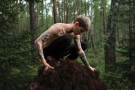 Forest management Images