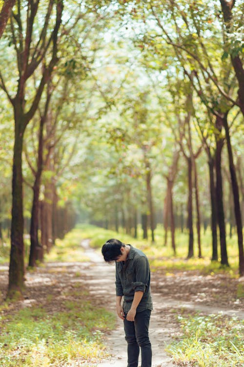 Free Photo Of Person Standing In Between Trees Stock Photo