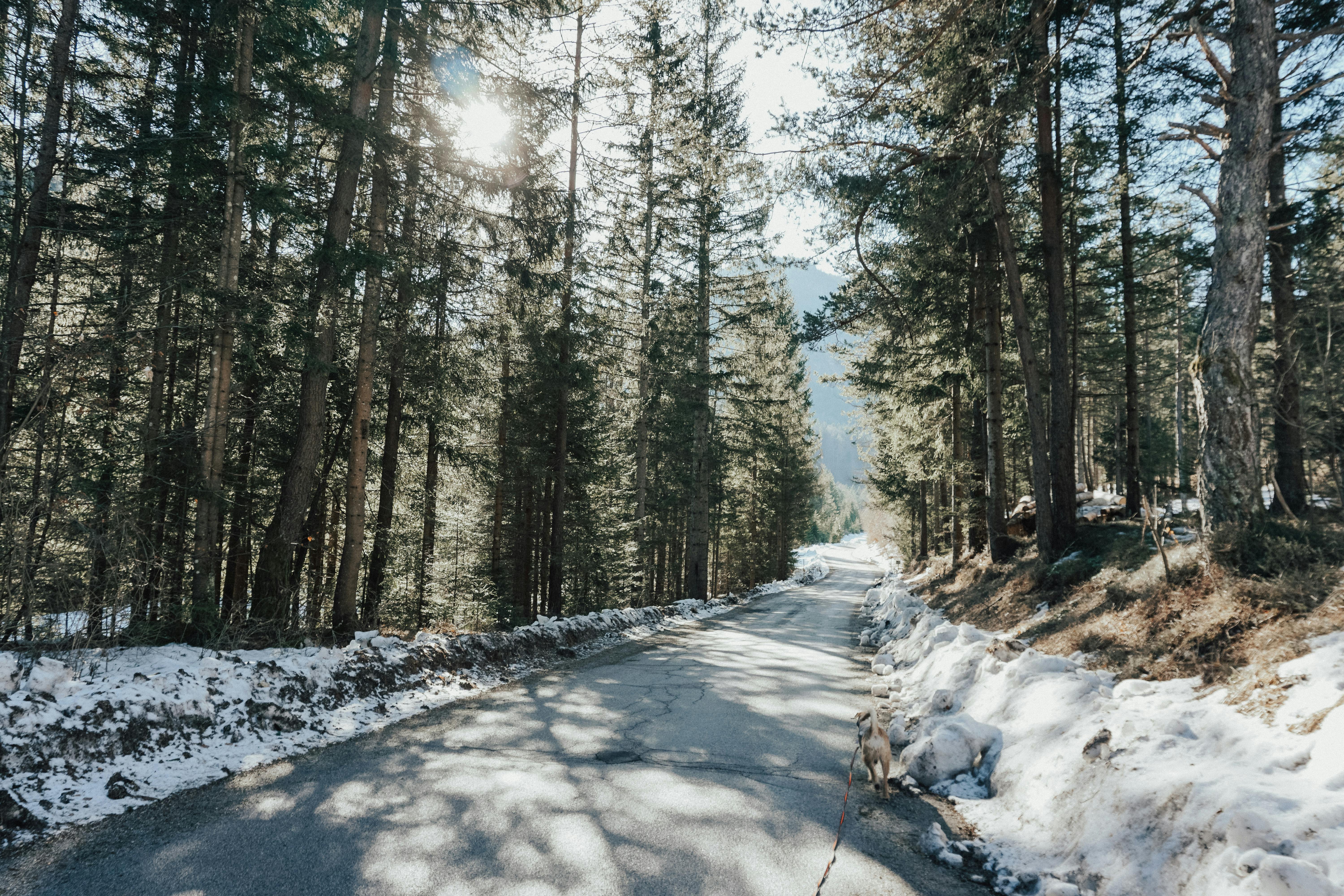 Landscape Photography of Snow Capped Mountains