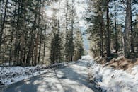 一条宁静的冬季道路蜿蜒穿过斯洛文尼亚白雪皑皑的森林，将自然美景尽收眼底