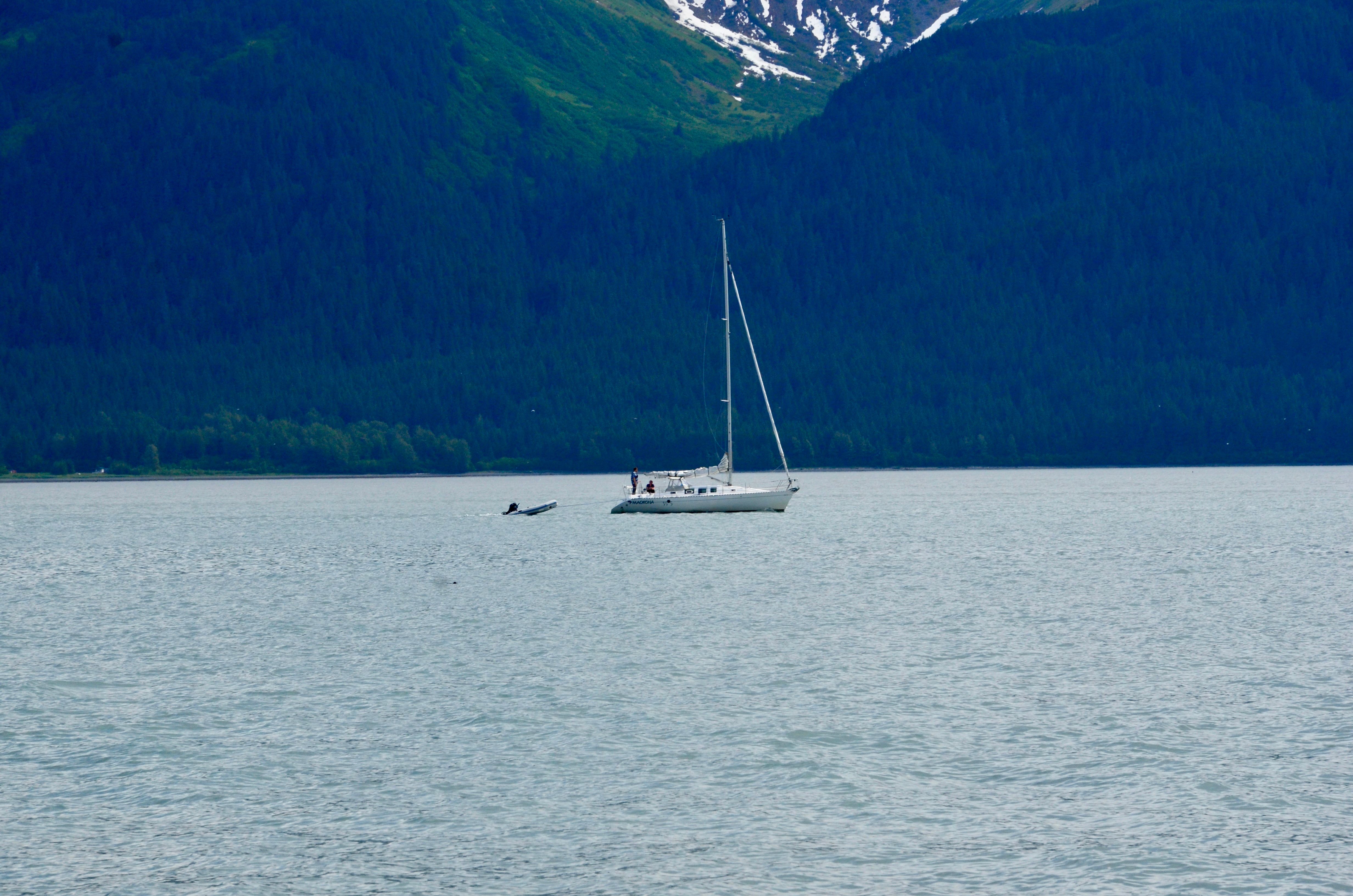 Sailboat on Body of Water · Free Stock Photo