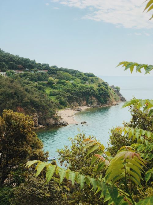 Free Lush greenery and blue waters of Büyükada Island in İstanbul, perfect for nature and travel enthusiasts. Stock Photo