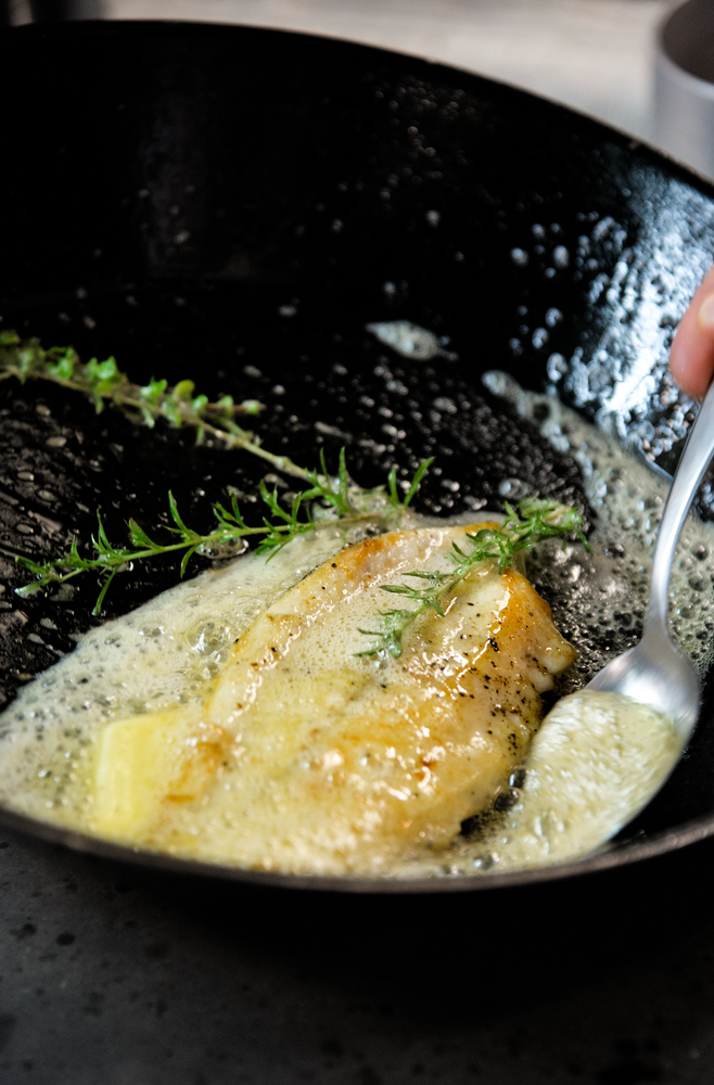 Sole Fish Photos, Download The BEST Free Sole Fish Stock Photos & HD Images