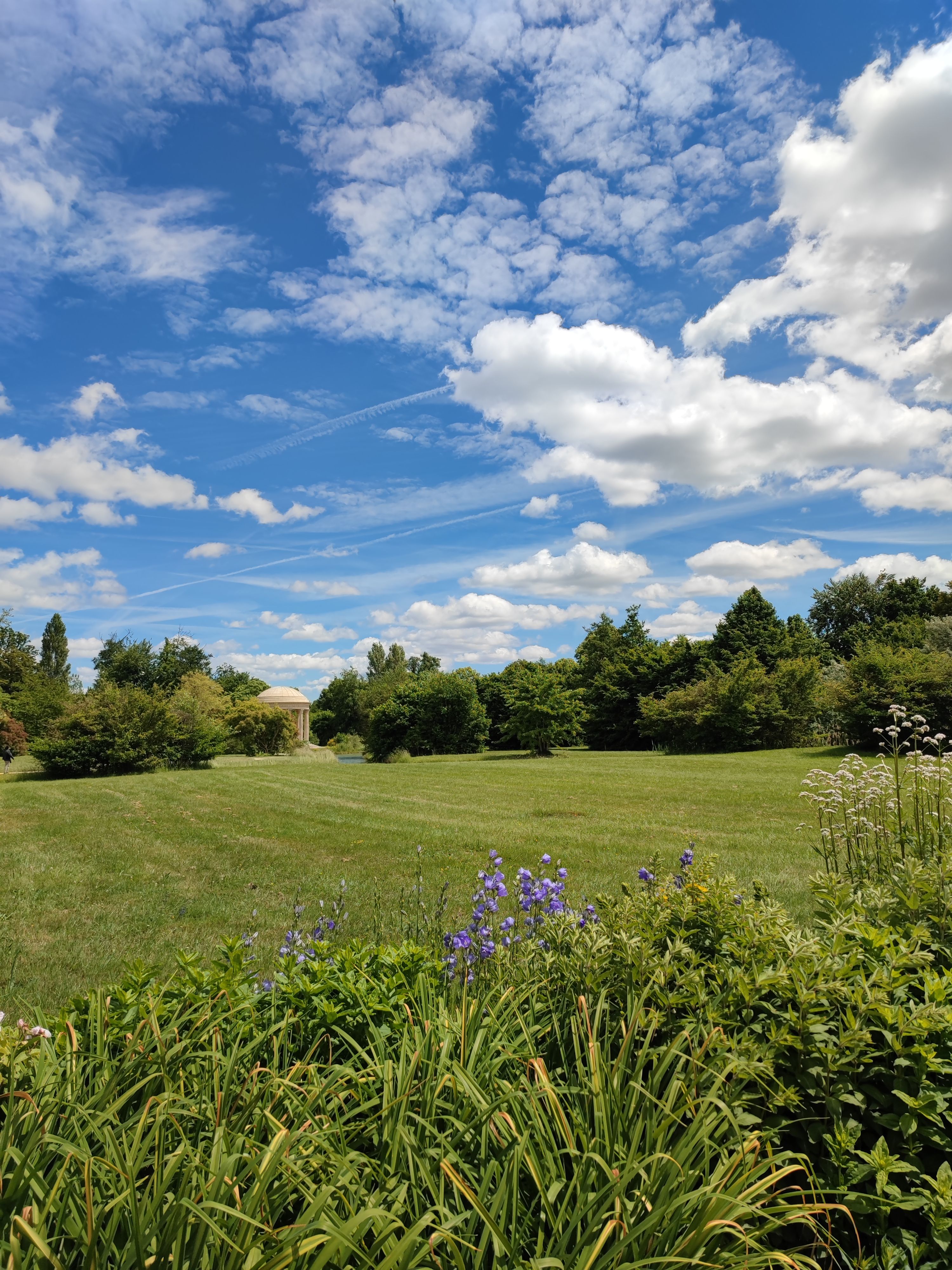Green Grass Field Under Blue Sky · Free Stock Photo